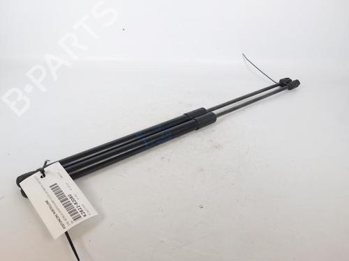 Gassdemper Bakluke Gassdemper Bakluke 15175630 15175630