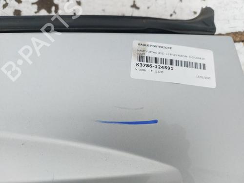 Tailgate SMART FORTWO Coupe (451) 1.0 (451.331, 451.380) | BP22896399C6 