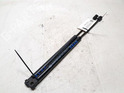 Used Tailgate lift support Tailgate lift support FIAT PANDA (169_) 1.2 (169.AXB11, 169.AXB1A) (60 hp) 33734682 33734682