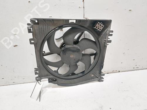 Koelventilatormotor RENAULT CLIO III (BR0/1, CR0/1) 1.2 16V Hi-Flex (BR1U, CR1U) (75 hp) 30531186