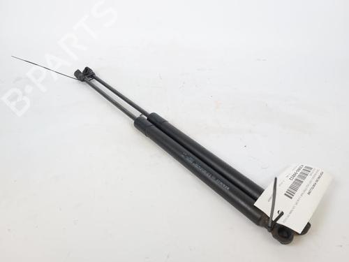 Used Tailgate lift support Tailgate lift support DACIA SANDERO II 1.0 LPG (B8ML) (101 hp) 17206066 17206066