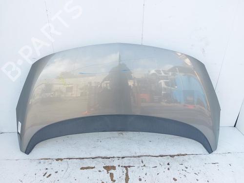 Used Hood OPEL MERIVA B MPV (S10) 1.4 LPG (75) (120 hp) 29880145