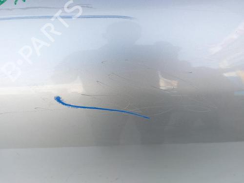 Right front door HYUNDAI SANTA FÉ II (CM) 2.2 CRDi | BP21123487C3 