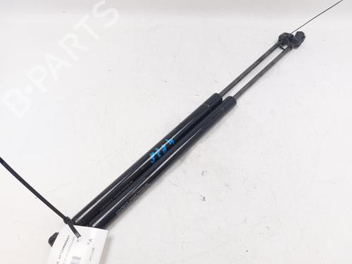 Used Tailgate lift support FIAT IDEA (350_) 1.2 16V (80 hp) 29746353