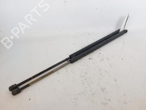 Tailgate lift support LAND ROVER RANGE ROVER SPORT I (L320) 3.0 D 4x4 | BP17805214C138 