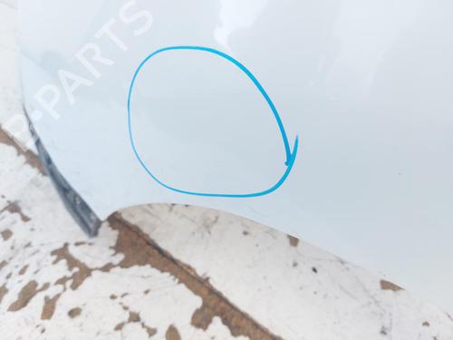 Left front fenders DACIA LODGY (JS_) 1.5 dCi | BP29519416C41 