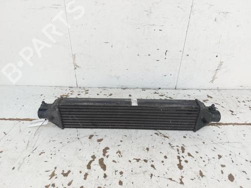 Used Intercooler LANCIA DELTA III (844_) 1.4 (844.AXA1A) (120 hp) 18354595