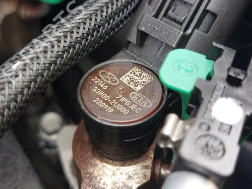 Engine KIA SPORTAGE V (NQ5) 1.6 CRDi MHEV AWD | BP37485984M1 - Image 5