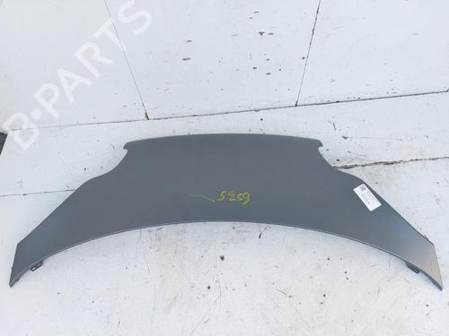 Used Hood Hood SMART FORTWO Coupe (451) 1.0 (451.331, 451.380) (71 hp) 33195250 33195250
