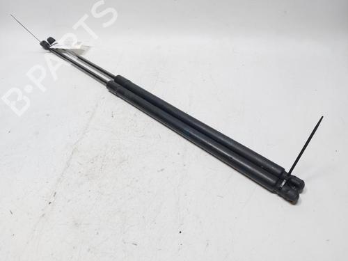 Used Tailgate lift support VW CADDY III MPV (2KB, 2KJ, 2CB, 2CJ) 1.9 TDI (105 hp) 30802773