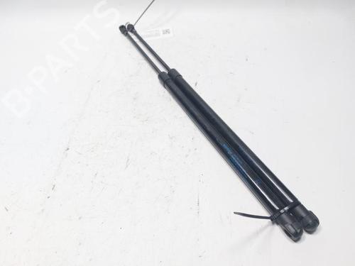 Used Tailgate lift support NISSAN JUKE (F16_) 1.6 Hybrid (143 hp) 30802655