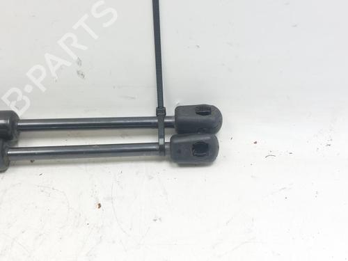 Other RENAULT SCÉNIC III (JZ0/1_) 1.6 dCi (JZ00, JZ12) | BP29523063O1 