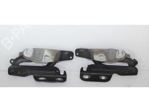 Used Hinge/Door check strap FORD FIESTA VI (CB1, CCN) 1.4 TDCi (70 hp) 15145933