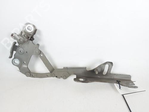 Hinge/Door check strap BMW 3 (F30, F80) 318 d | BP23217810C146 