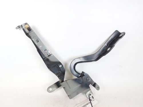Hinge/Door check strap RENAULT CLIO IV (BH_) 1.5 dCi 90 | BP23416832C146 