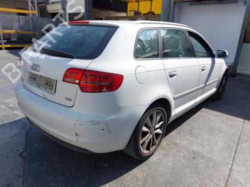 Højre bagtil støddæmper AUDI A3 (8P1) 1.6 TDI | BP29050427M19 