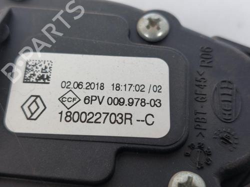 Pedal DACIA SANDERO II 1.5 dCi 75 / Blue dCi 75 (B8JW, B8M4, B8AH, B8M7, B8M6) | BP15162620I4