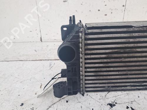 Intercooler OPEL MERIVA B MPV (S10) 1.7 CDTI (75) | BP33194057M30 - Image 3