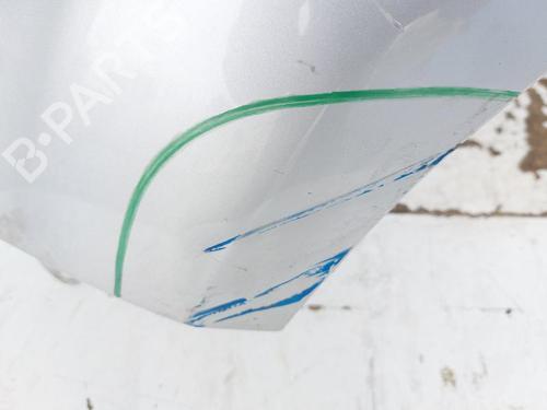 Left front fenders FORD MONDEO IV (BA7) 2.0 TDCi | BP23189954C41 