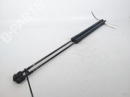 Tailgate lift support FORD KUGA I 2.0 TDCi 4x4 | BP15165460C138 