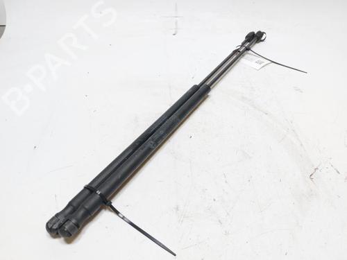 Gassdemper Bakluke LANCIA YPSILON (312_) 1.3 D Multijet (312.YXE1A, 312.YXU1A) | BP30802539C138