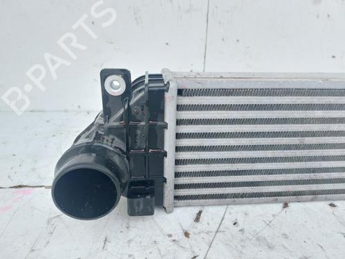 Intercooler MG MG ZS SUV (AZS1) 1.0 T-GDi | BP30454879M30 - Image 2