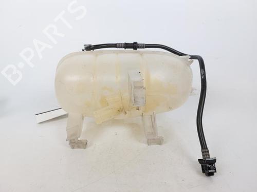 Expansion tank RENAULT TRAFIC III Van (FG_) 2.0 dCi 145 (FGML) | BP16029902C120 