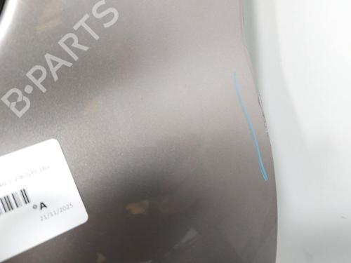 Left rear door RENAULT CLIO III (BR0/1, CR0/1) 1.2 16V Hi-Flex (BR1U, CR1U) | BP30531166C4 