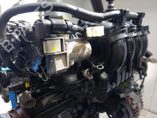 Engine LANCIA MUSA (350_) 1.4 LPG (350.AXF1A) | BP33904543M1  - Image 7