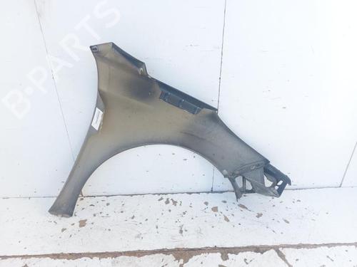 Left front fenders PEUGEOT 207 (WA_, WC_) 1.4 HDi | BP29519387C41 