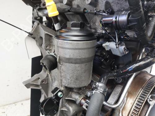 Engine SEAT CORDOBA (6L2) 1.4 TDI | BP33198301M1  - Image 8