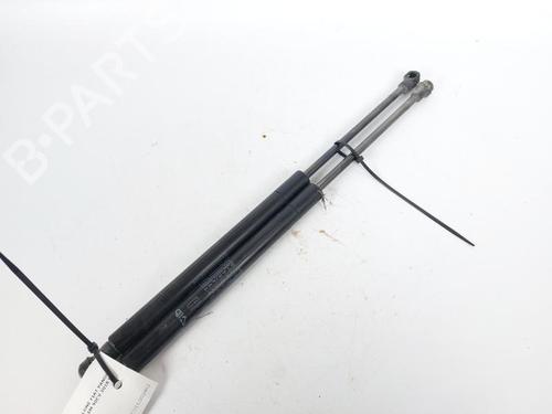 tailgate-lift-support-fiat-panda-312_-319_-2012-23881680 main image