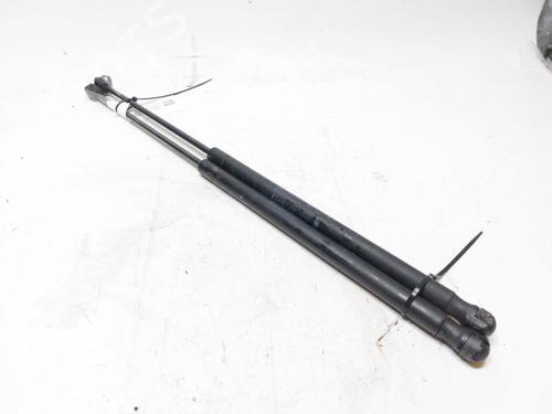 Gassdemper Bakluke LANCIA YPSILON (312_) 1.3 D Multijet (312.YXE1A, 312.YXU1A) (95 hp) 30802539