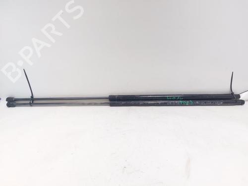 Tailgate lift support FIAT DOBLO MPV (119_, 223_) 1.9 JTD | BP29519503C138 