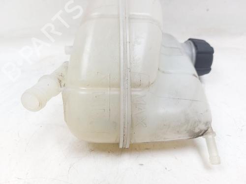 Expansion tank NISSAN QASHQAI II (J11, J11_) 1.3 DIG-T | BP29584000C120 