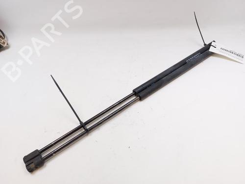 Used Tailgate lift support Tailgate lift support FORD FOCUS C-MAX (DM2) 1.6 TDCi (90 hp) 28162503 28162503