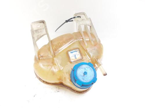 Ekpansionstank FIAT PUNTO EVO (199_) 1.4 (199AXB1A) (77 hp) 27815961