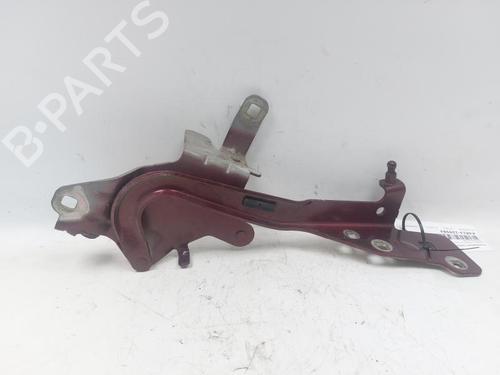 Hinge/Door check strap RENAULT SCÉNIC III (JZ0/1_) 1.6 dCi (JZ00, JZ12) | BP29526037C146 