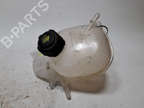 Vaschetta di espansione Vaschetta di espansione RENAULT TWINGO III (BCM_, BCA_) Z.E: (BCA1) (82 hp) 35781965 35781965