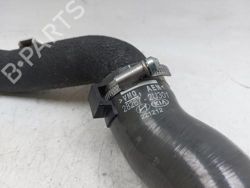 Pipe KIA SPORTAGE V (NQ5) 1.6 CRDi | BP25984865M125 