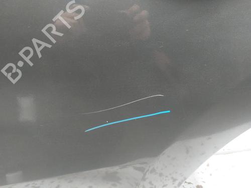 Porta posteriore sinistra RENAULT ESPACE V (JR_) 2.0 Blue dCi 160 (JRAM) | BP30454439C4