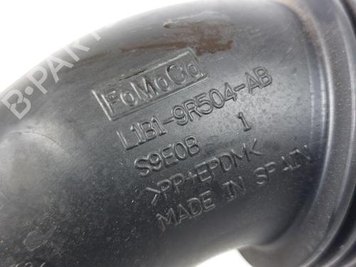 Air filter box FORD PUMA (J2K, CF7) 1.0 EcoBoost | BP17204300M87