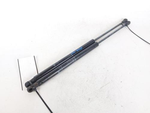 Used Tailgate lift support FIAT 500 (312_) 1.0 Mild Hybrid (312.AYD1B) (69 hp) 25433907