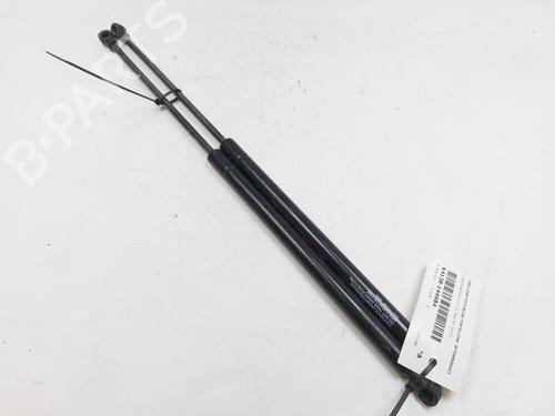 Tailgate lift support NISSAN QASHQAI / QASHQAI +2 I (J10, NJ10, JJ10E) 1.6 | BP27442610C138 