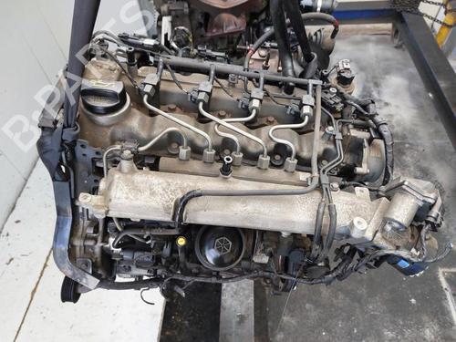 Engine HYUNDAI i20 I (PB, PBT) 1.4 CRDi | BP33231771M1  - Image 9