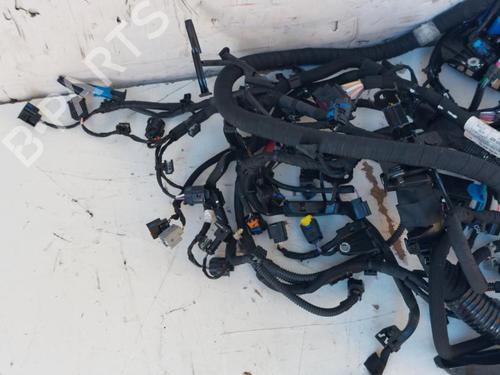 Wiring harness MERCEDES-BENZ CITAN Box Body/MPV (W420) 1.5 110 CDI (420.623, 420.625) | BP15163017E16 