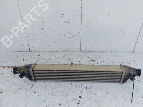 Intercooler Intercooler FIAT FREEMONT (345_) 2.0 JTD (170 hp) 34417994 34417994