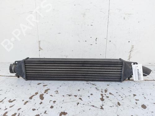 Used Intercooler LANCIA DELTA III (844_) 1.6 D Multijet (844.AXC11, 844.AXC1A) (120 hp) 18331137