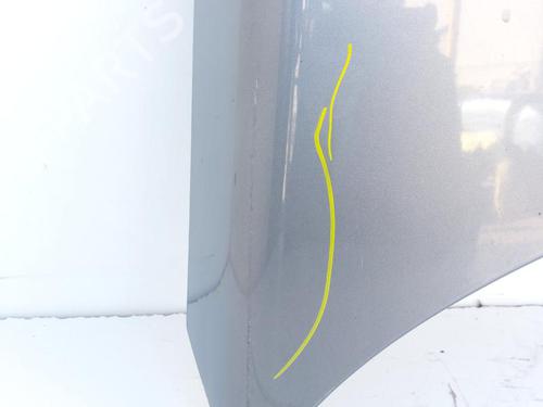 Hood LAND ROVER FREELANDER 2 (L359) 2.2 TD4 4x4 | BP17206786C1 