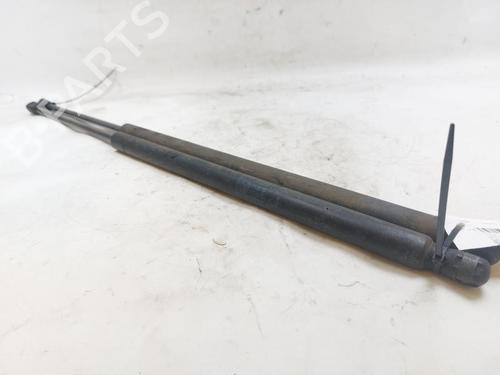 Tailgate lift support LAND ROVER RANGE ROVER SPORT I (L320) 2.7 D 4x4 | BP26314038C138 